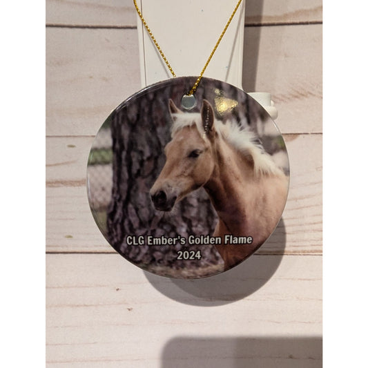 CLG Fundraising | Official 2024 Ornament | Flame