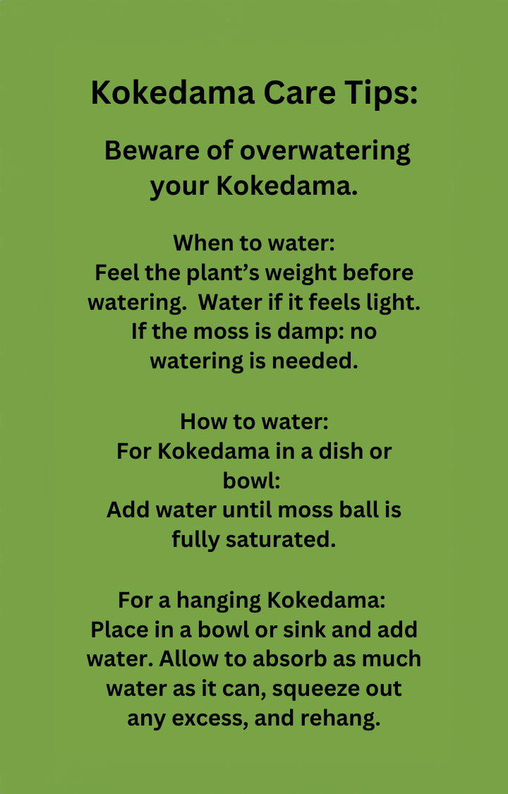 Care Cards - Dirty Business Kokedama