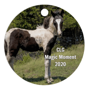 CLG Fundraising | Official 2020 Ornament - Magic Moment