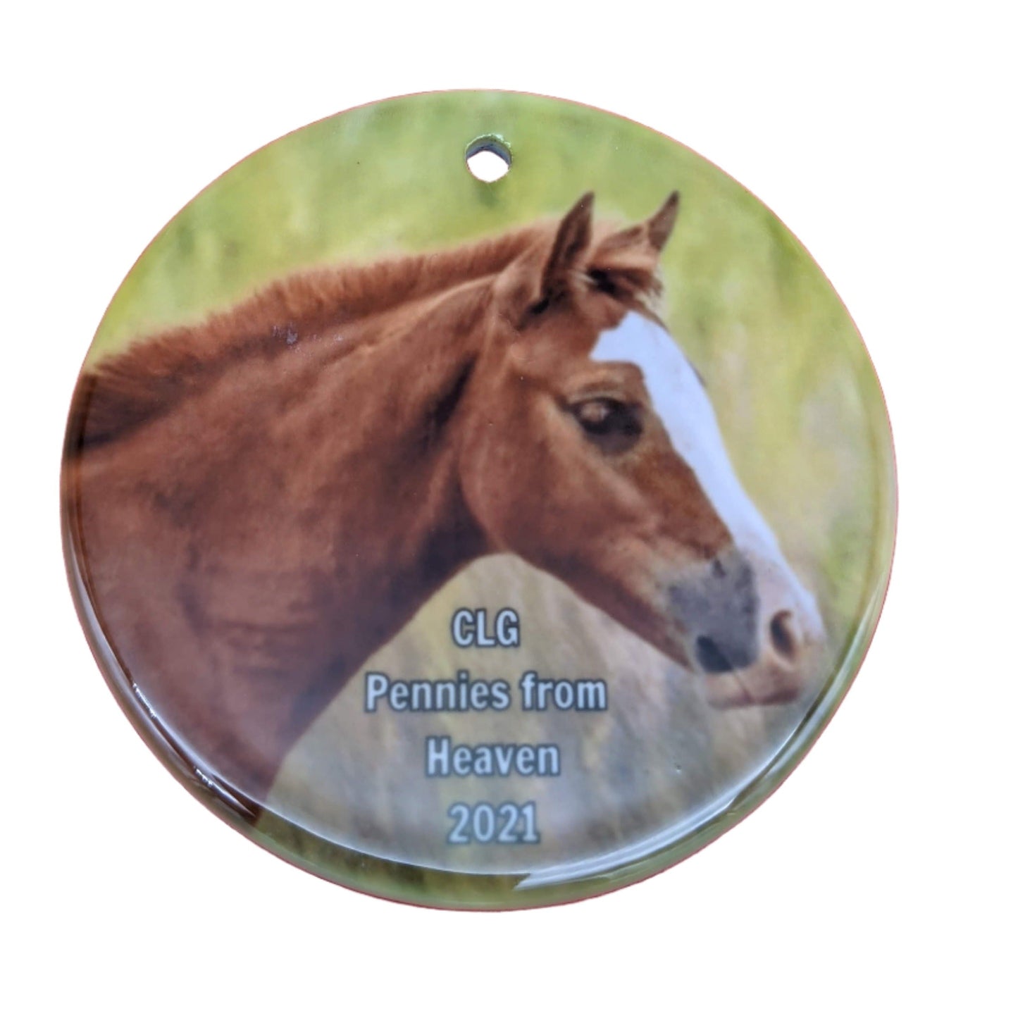 CLG Fundraising | Official 2021 Ornament - Penny