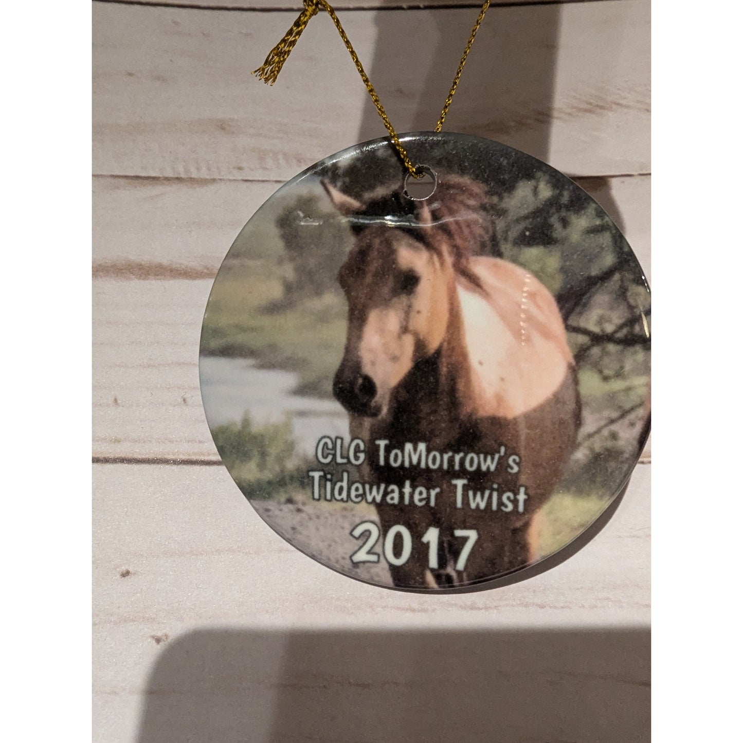 CLG Fundraising | Official 2017 Ornament - Twist