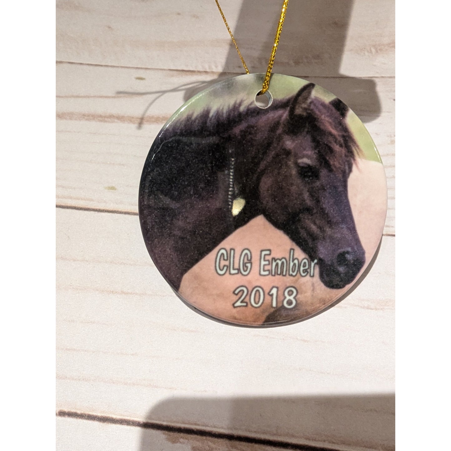 CLG Fundraising | Official 2018 Ornament - Ember