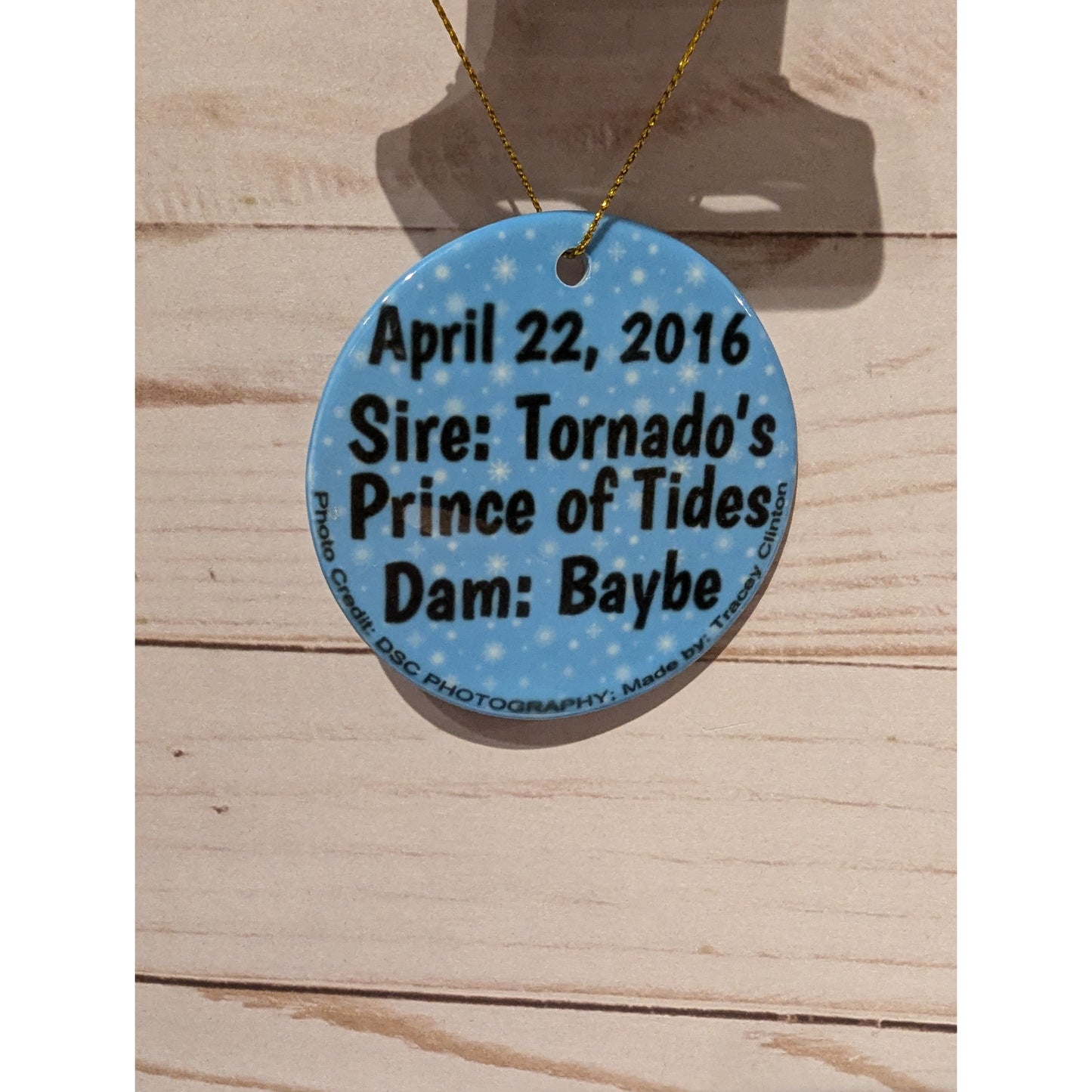 CLG Fundraising | Official 2016 Ornament - Bay Princess