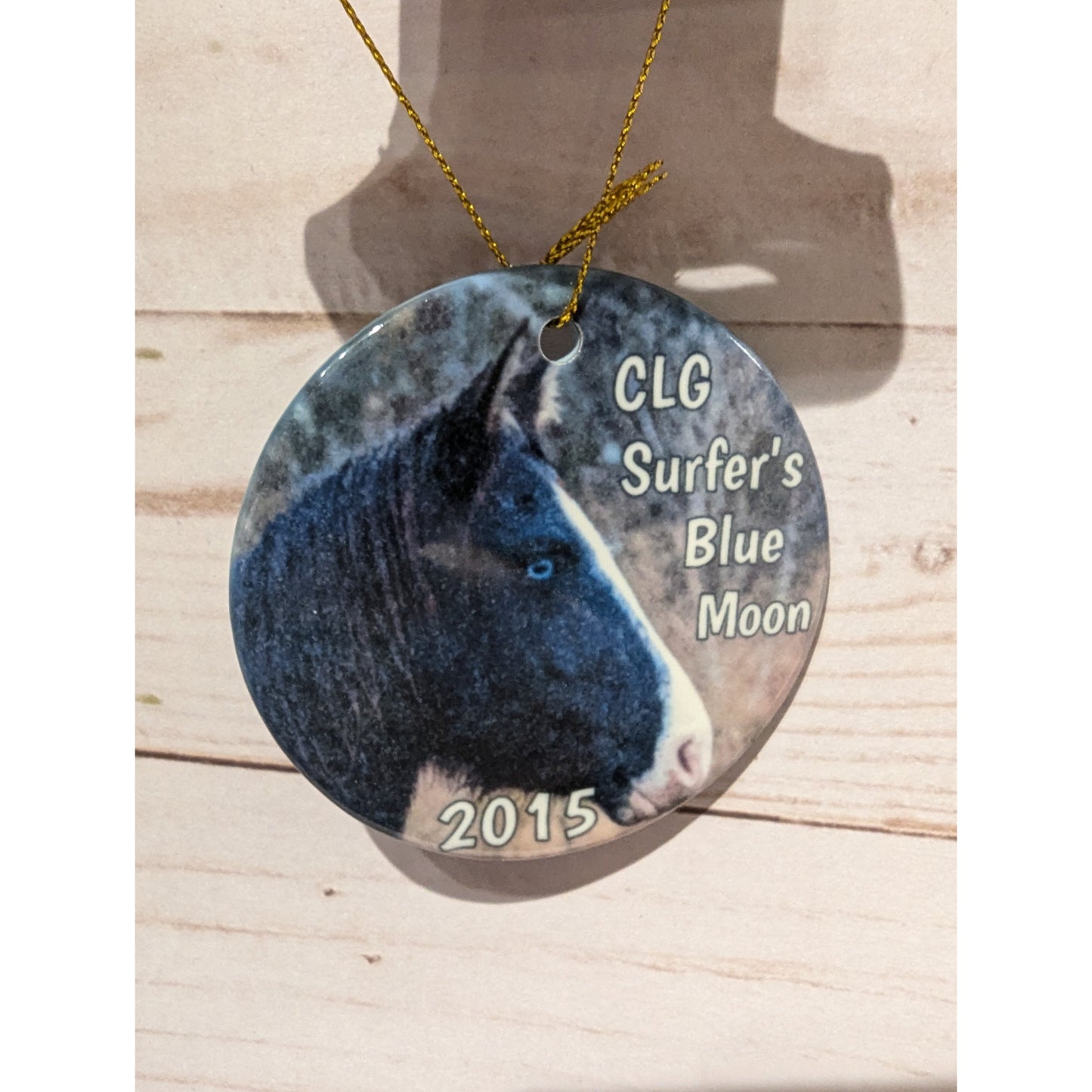 CLG Fundraising | Official 2015 Ornament - Blue Moon