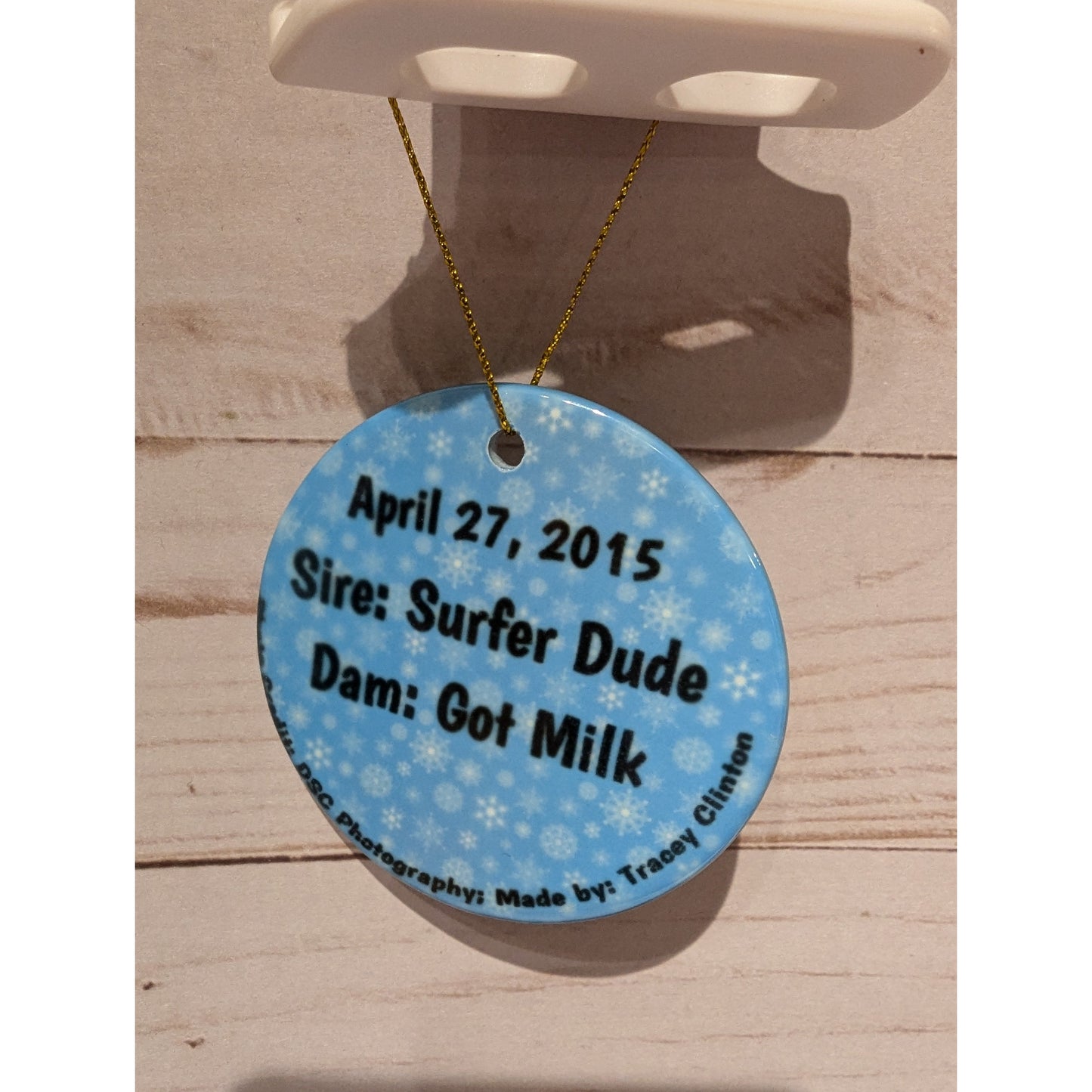 CLG Fundraising | Official 2015 Ornament - Blue Moon