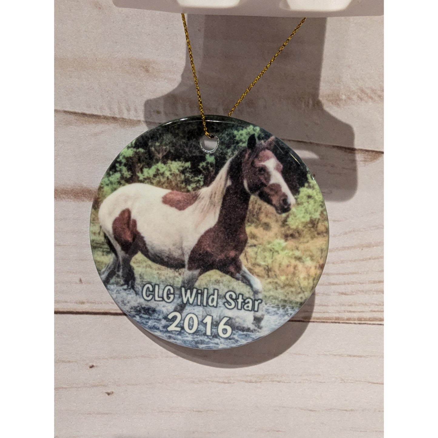 CLG Fundraising | Official 2016 Ornament - Wild Star