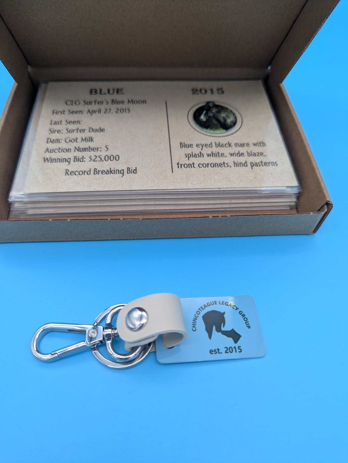 CLG Fundraising | Collectable Charms