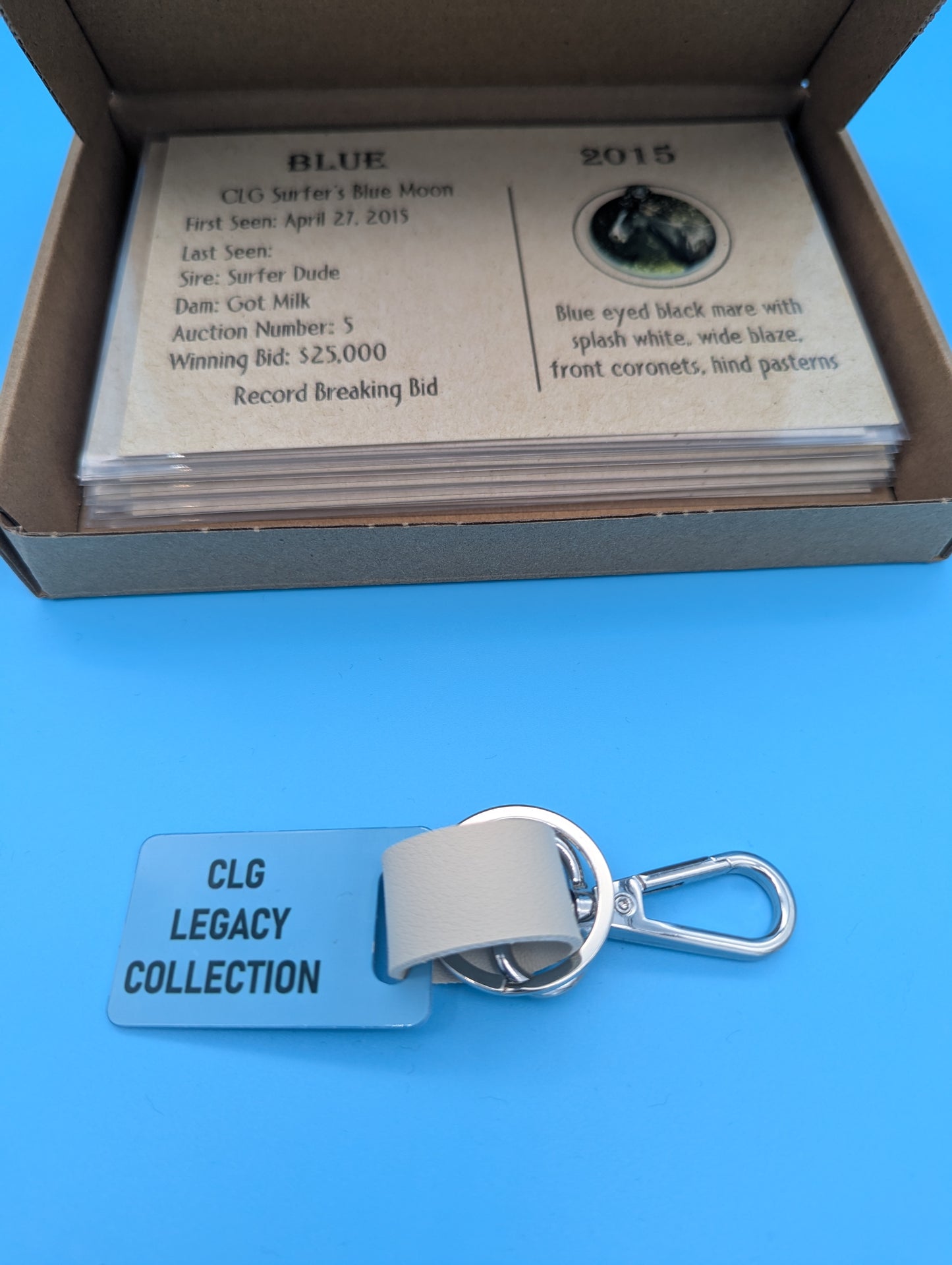 CLG Fundraising | Collectable Charms