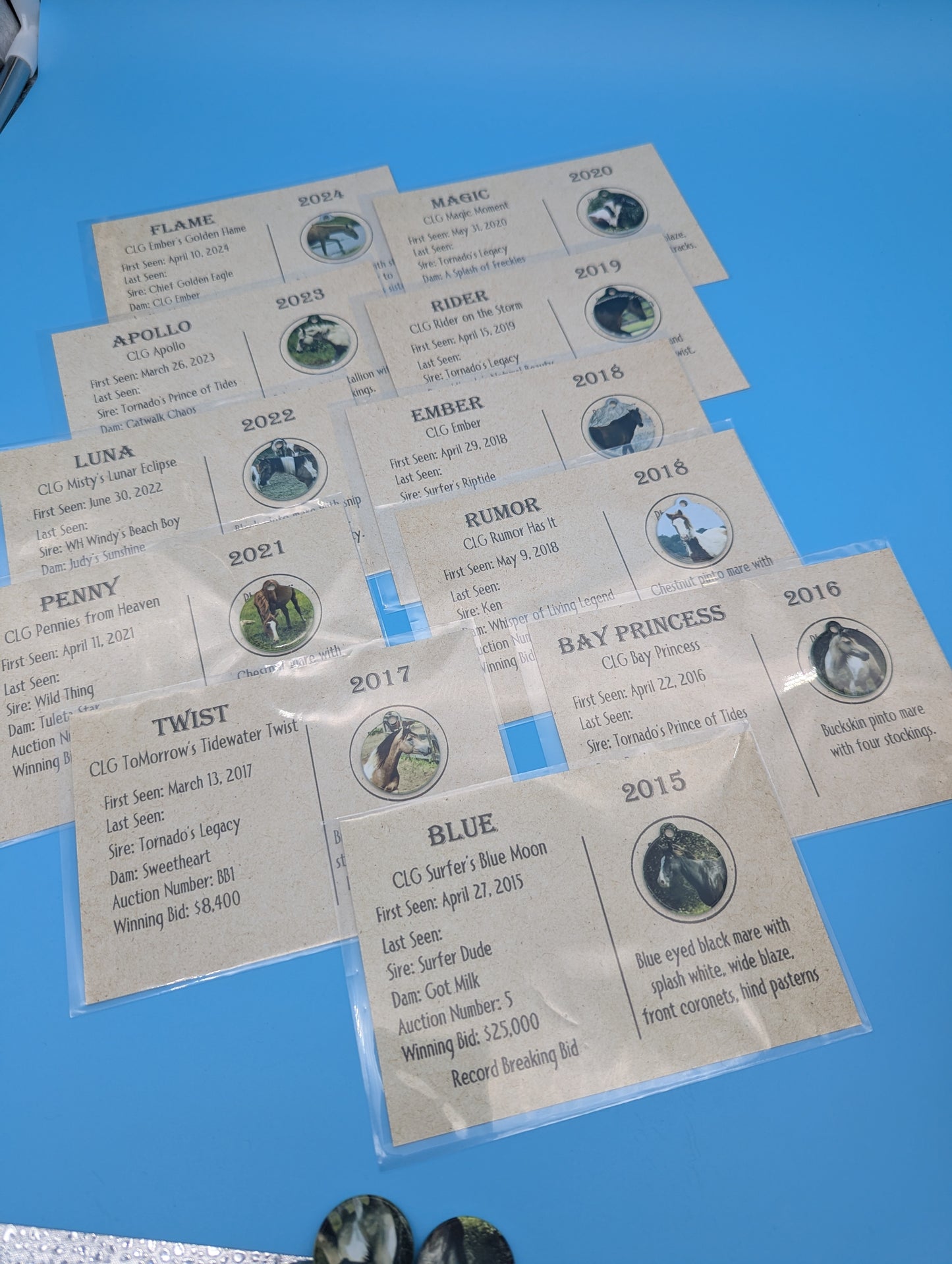 CLG Fundraising | Collectable Charms
