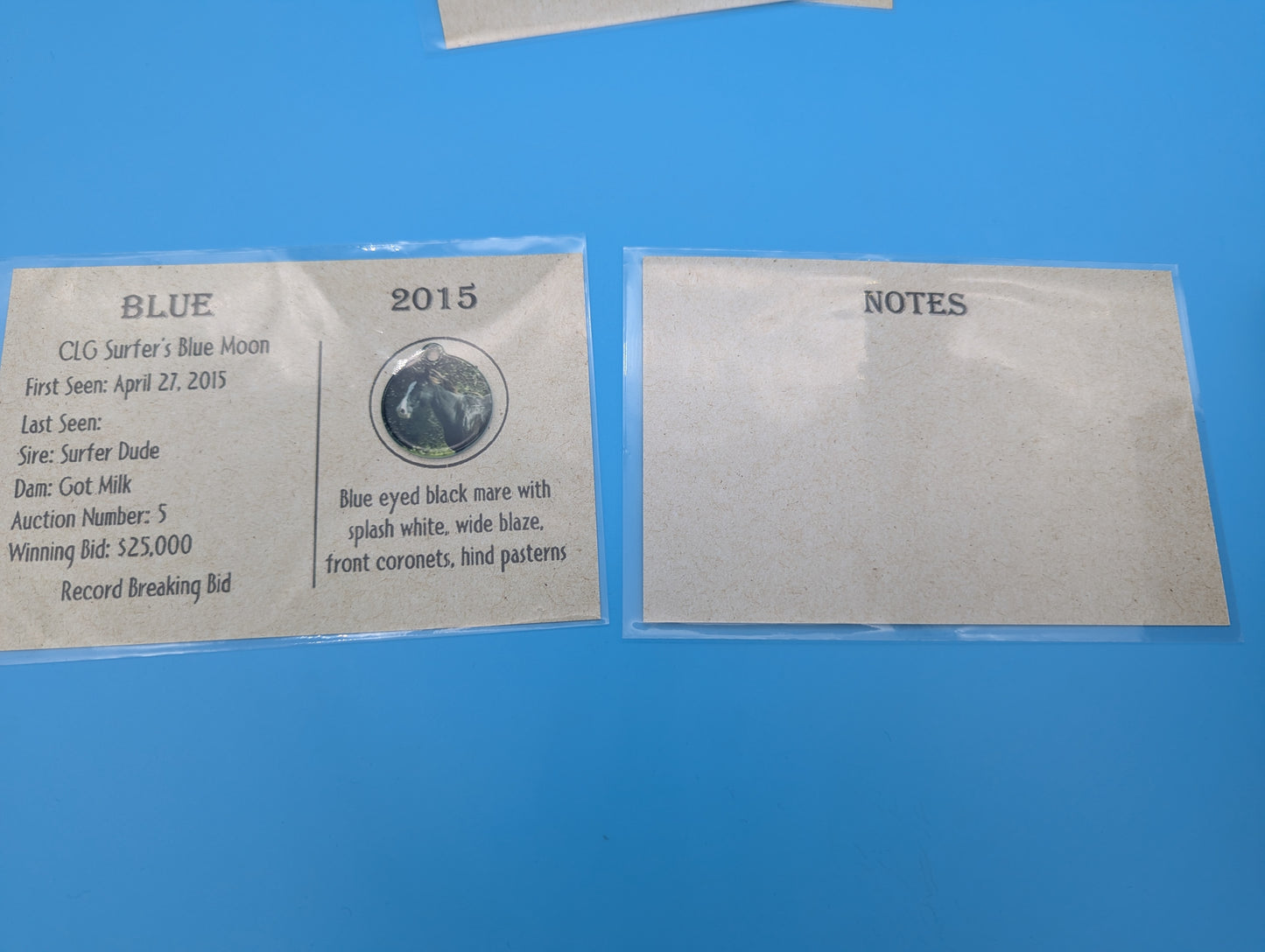 CLG Fundraising | Collectable Charms