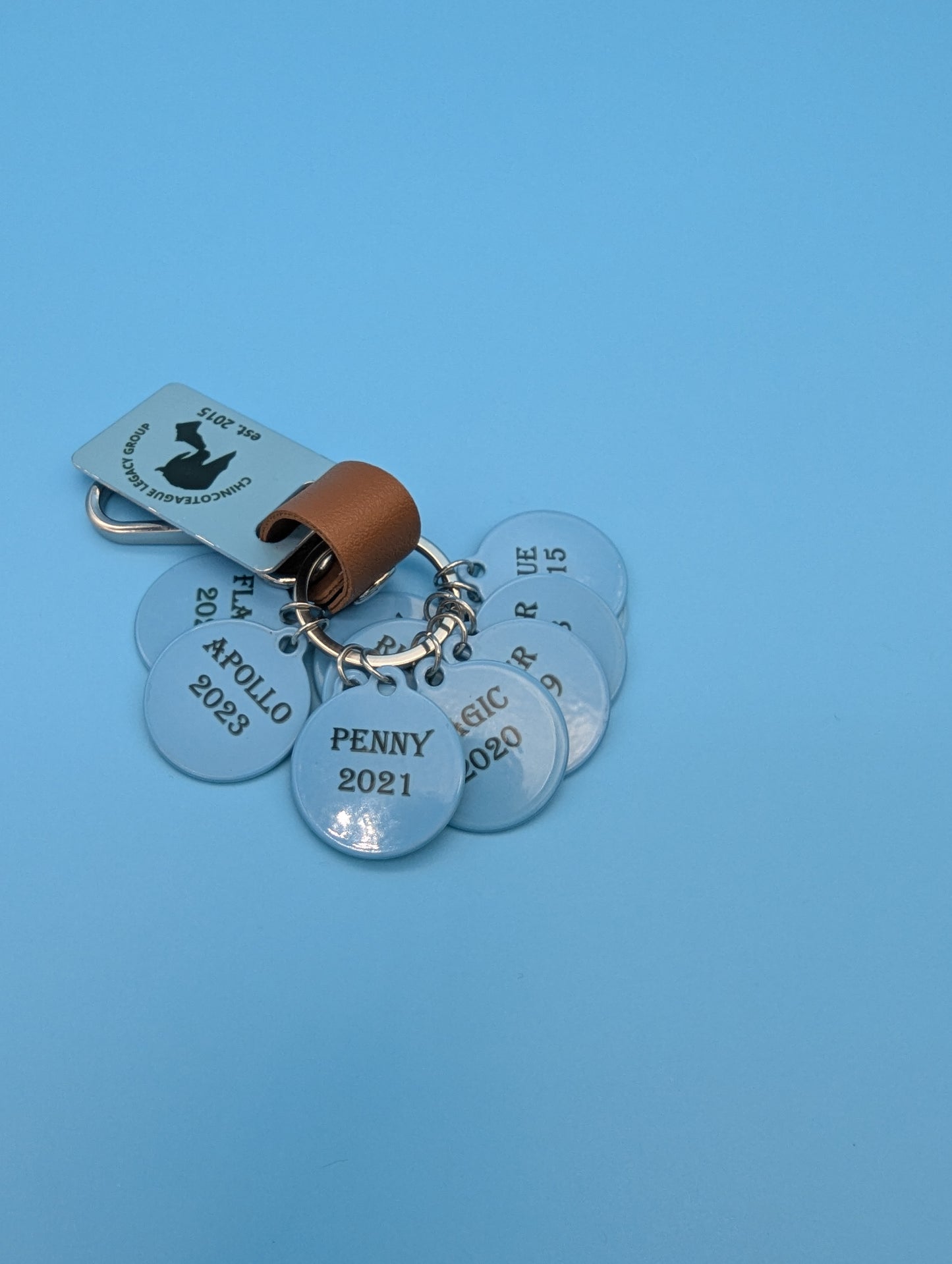 CLG Fundraising | Collectable Charms