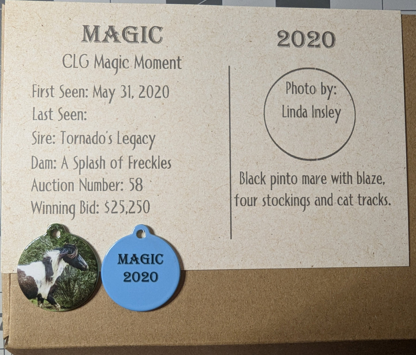 CLG Fundraising | Collectable Charms