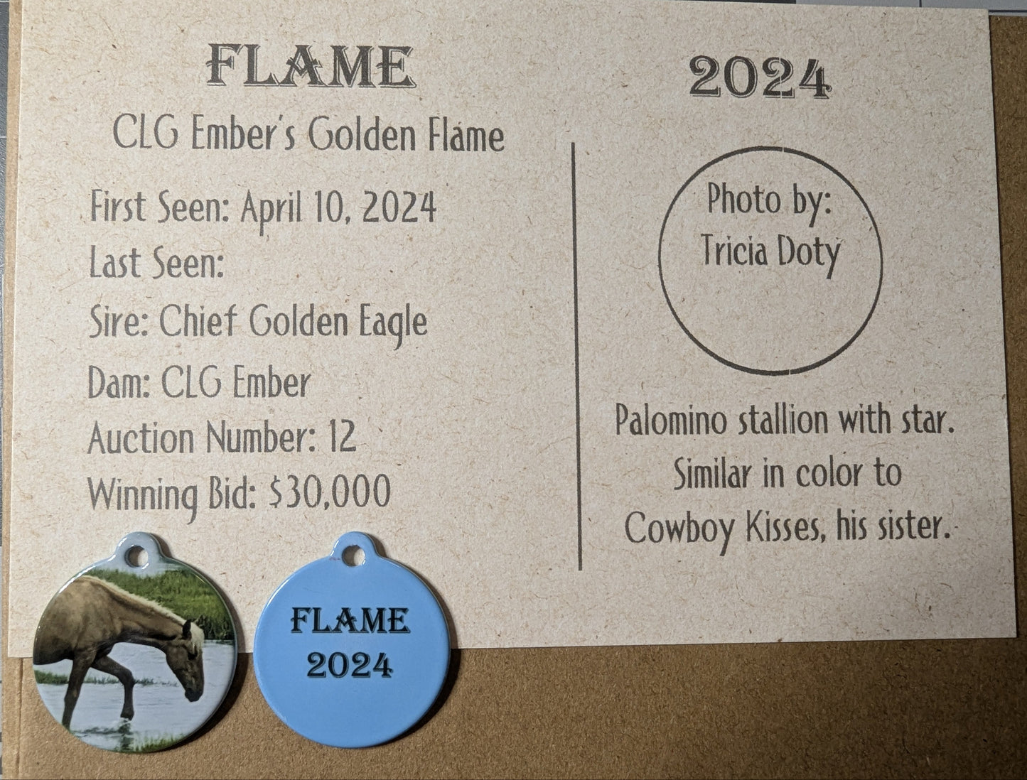 CLG Fundraising | Collectable Charms