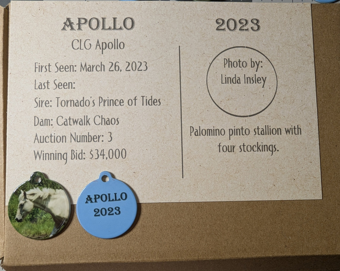 CLG Fundraising | Collectable Charms