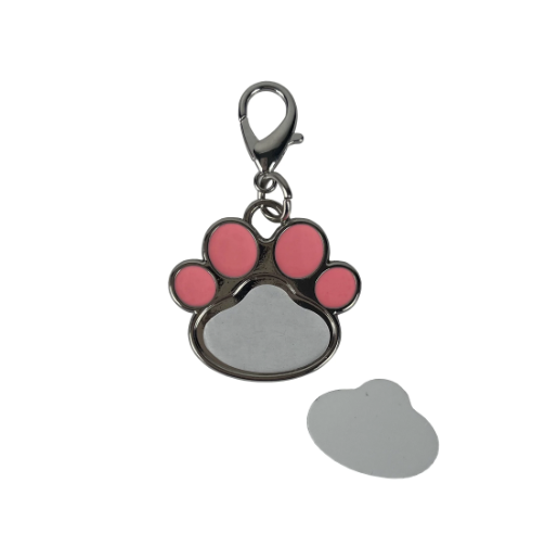 Car | Paw keychain