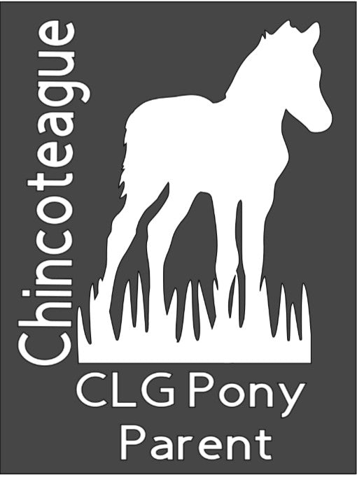 CLG: Calcomanía para padres de pony