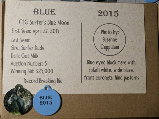 CLG Fundraising | Collectable Charms