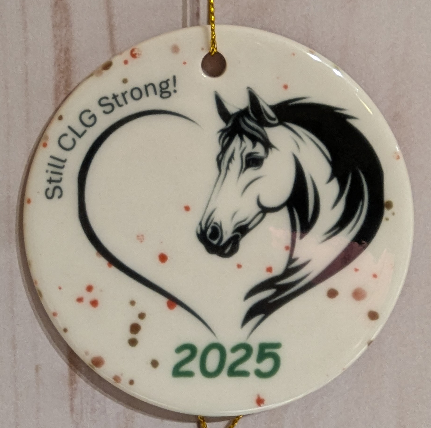 CLG Fundraising | Official 2025 Ornament | The Year Without a Pony