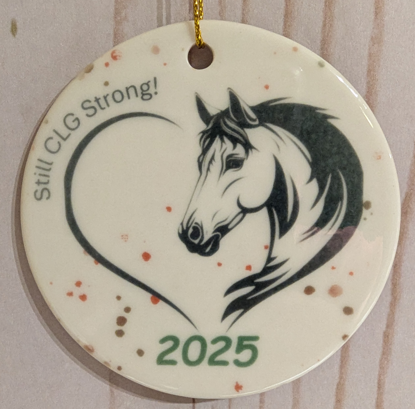 CLG Fundraising | Official 2025 Ornament | The Year Without a Pony