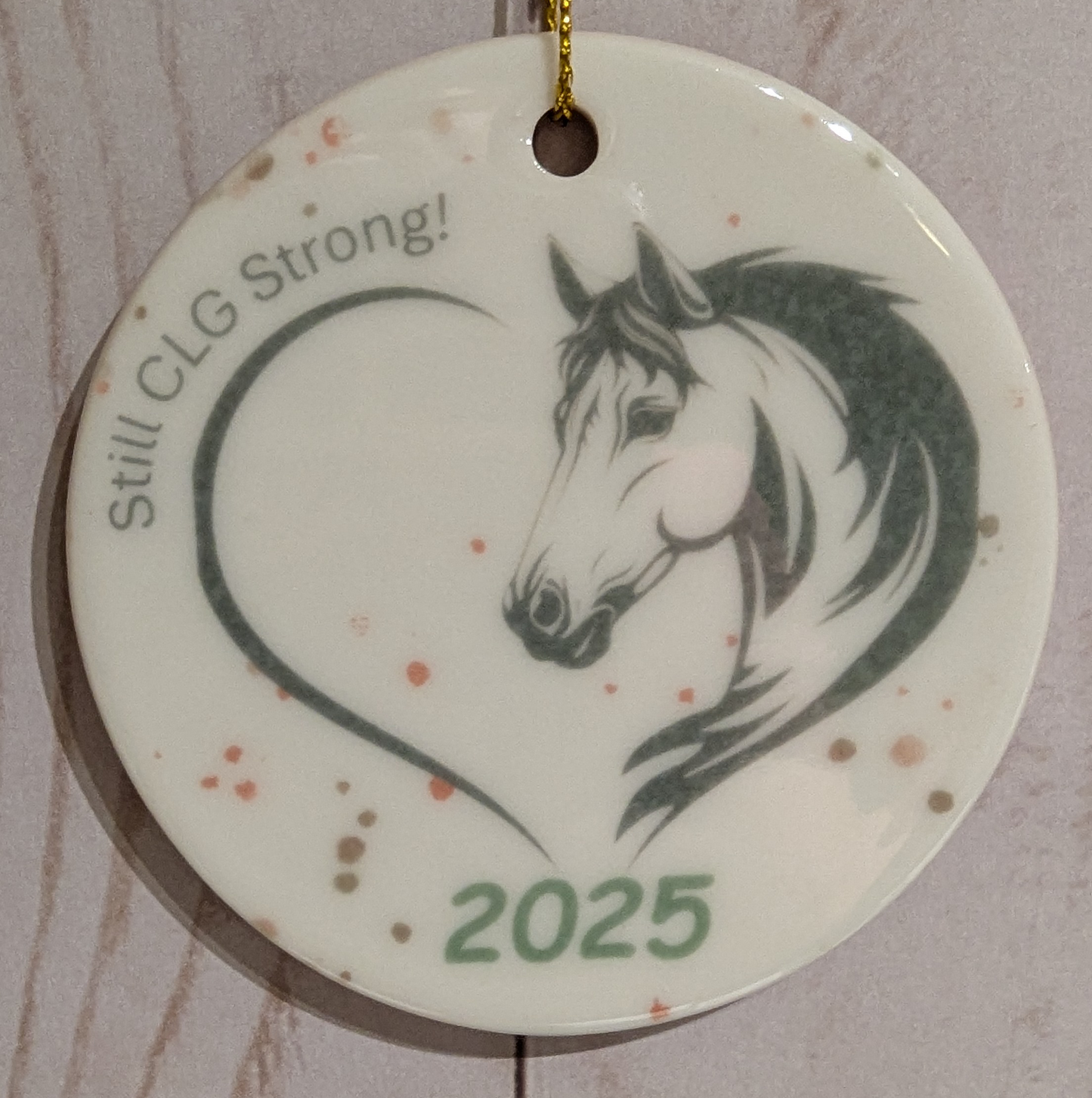 CLG Fundraising | Official 2025 Ornament | The Year Without a Pony